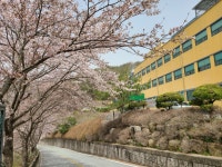 의료법인경애의료재단담양참사랑병원