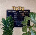 탱글탱글스킨바디