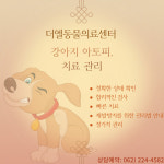 더 엘 동물의료센터