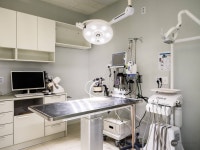 센트럴동물메디컬센터