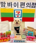 부산애견호텔 강아지유치원 맘바이 서면본점