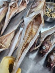 대복 코다리&갈치조림