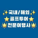 세이브투어