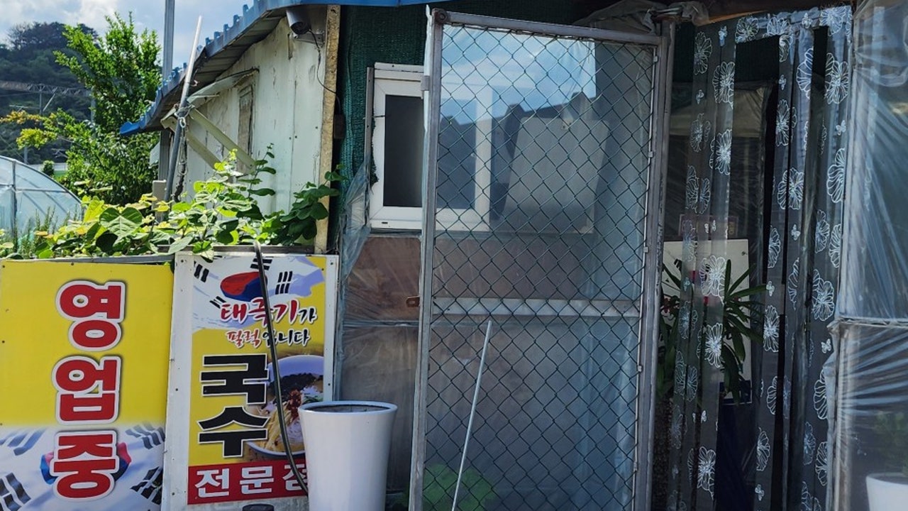 태극기가 펄럭입니다 태극기 국수