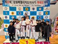 웅진태권도장