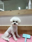 멍멍1길 23