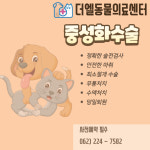 더 엘 동물의료센터