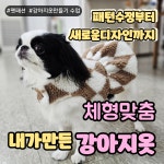 하이펫스쿨