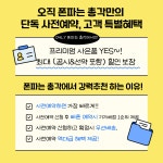 폰파는총각