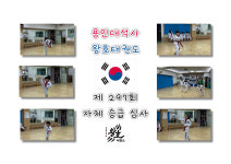 용인대석사 왕호태권도