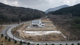 정옥민박사 대체의학 면역센터