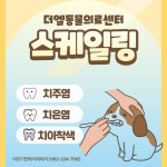 더 엘 동물의료센터