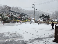 대복 코다리&갈치조림