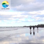 드림힐요양병원