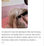 헬로우버디 광교점