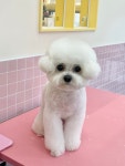 헬로우버디 광교점