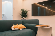 서울뷰의원 평택