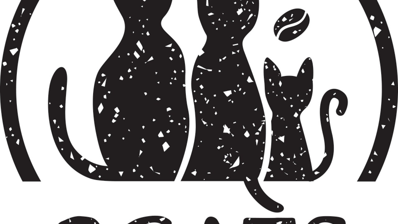 3CATS COFFEE LAB