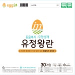 에그카페24상대로점 | 에그24