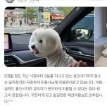 헬로우버디 광교점