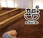 효소를담다, 효담
