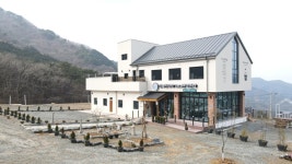 정옥민박사 대체의학 면역센터