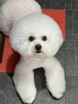 말랑멍무