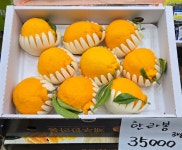 오늘앤과일 호평점