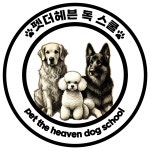 펫더헤븐 독 스쿨