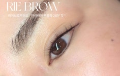 리이브로우