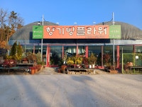 향기방플라워