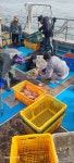 덕원수산