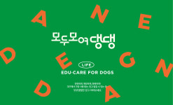 반려견학교 모두모여댕댕 모모댕댕 스쿨