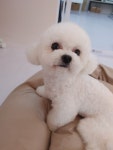 유별난 가위