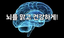 비엠헬스케어