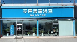 푸른동물병원