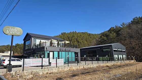 리틀 포레스트 사진