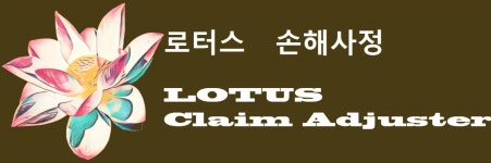 로터스 손해사정