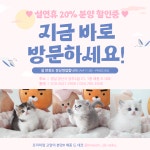 메종 드 네코 양산점