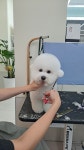 젤리펫살롱with아로마