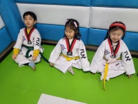 키즈펀태권도