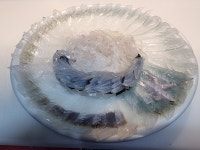 부산산오징어 장전점