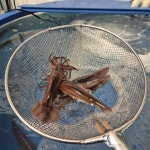 춘천행복수산