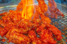 닭발의 제왕