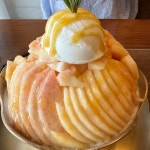 카페 메이식스