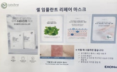 세이프존