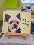 아트펫갤러리