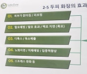 세이프존
