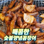 황소숯불꼼장어