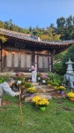반야사